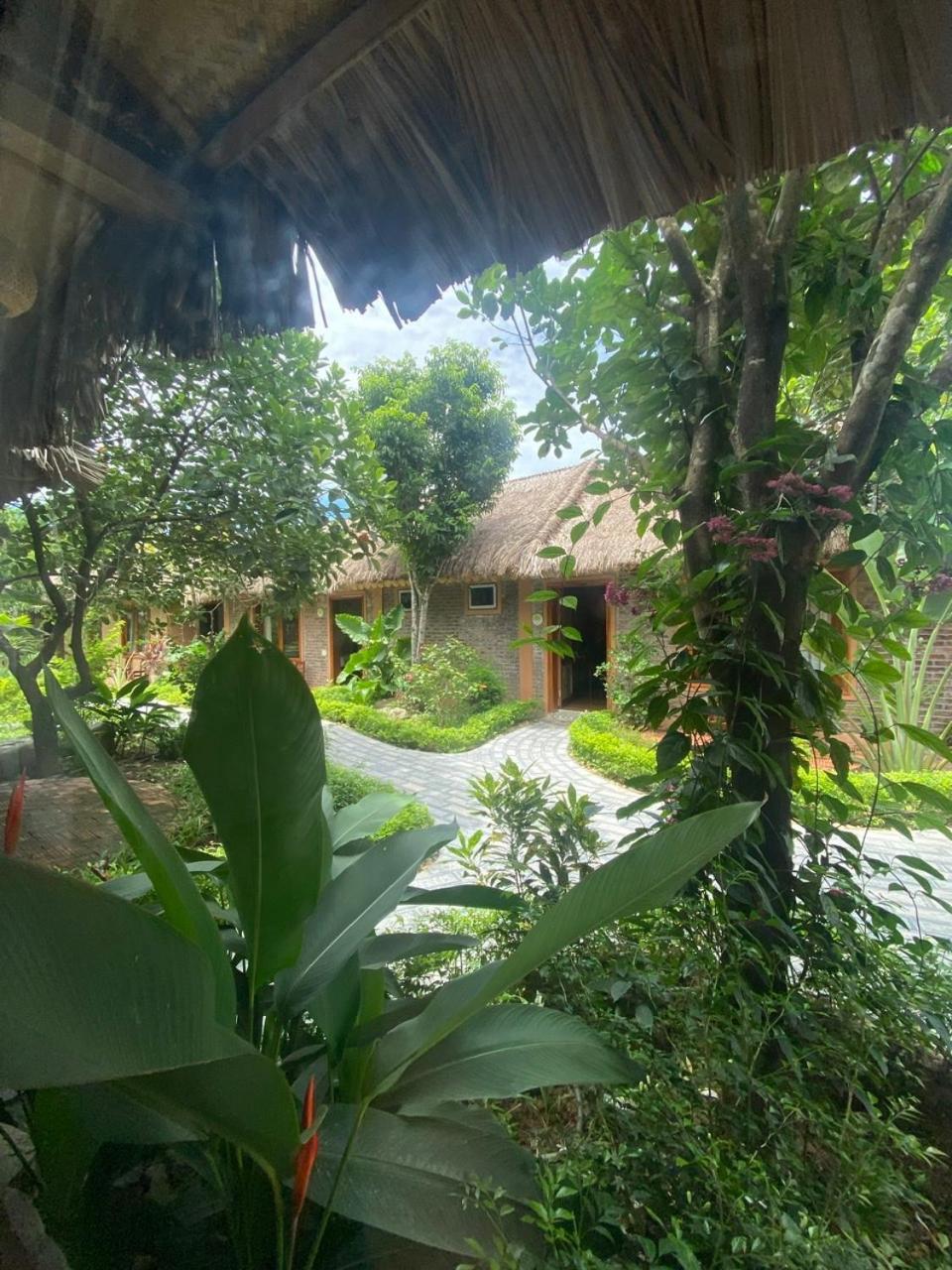 Lemon Tree Homestay Tam Coc Ninh Binh Exterior foto